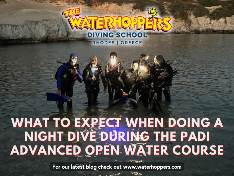 What to Expect When Doing a Night Dive and What You Will Learn During the PADI Advanced Open Water Course